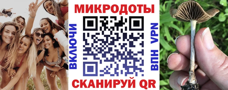 сколько стоит  blacksprut онион  Псилоцибиновые грибы GOLDEN TEACHER  Верхнеуральск 